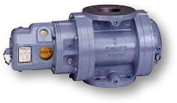 Romet RM Series Rotary Gas Meter TC